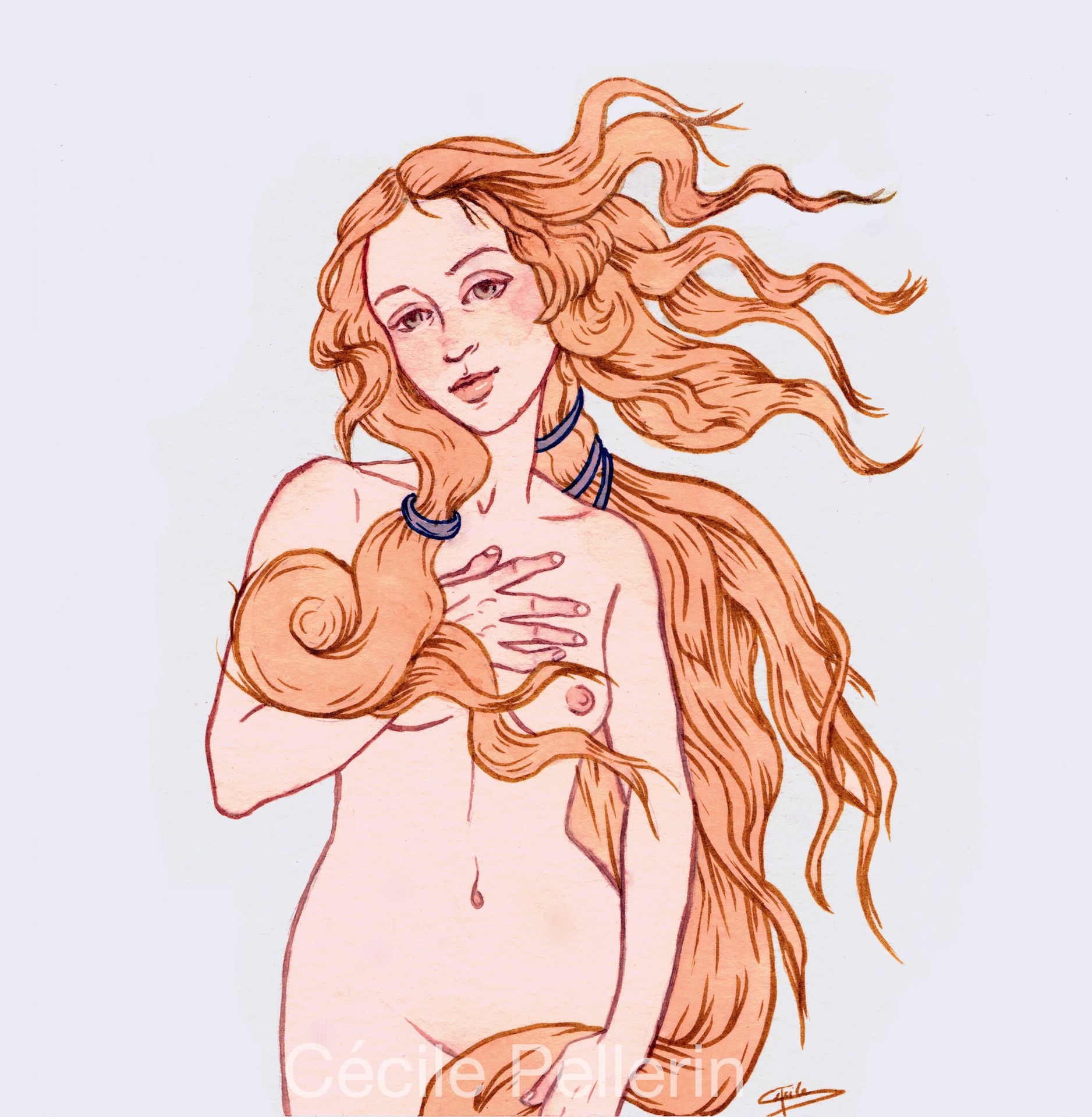 Venus (feutres)